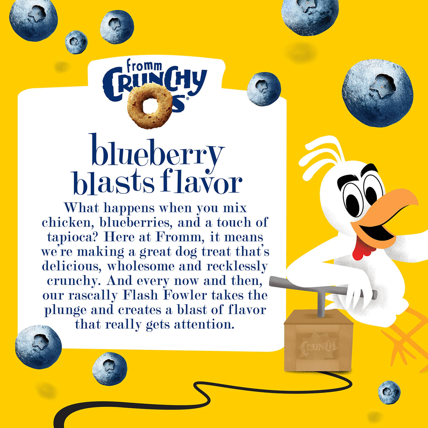 Fromm Crunchy Os - Blueberry Blast Flavor image 1