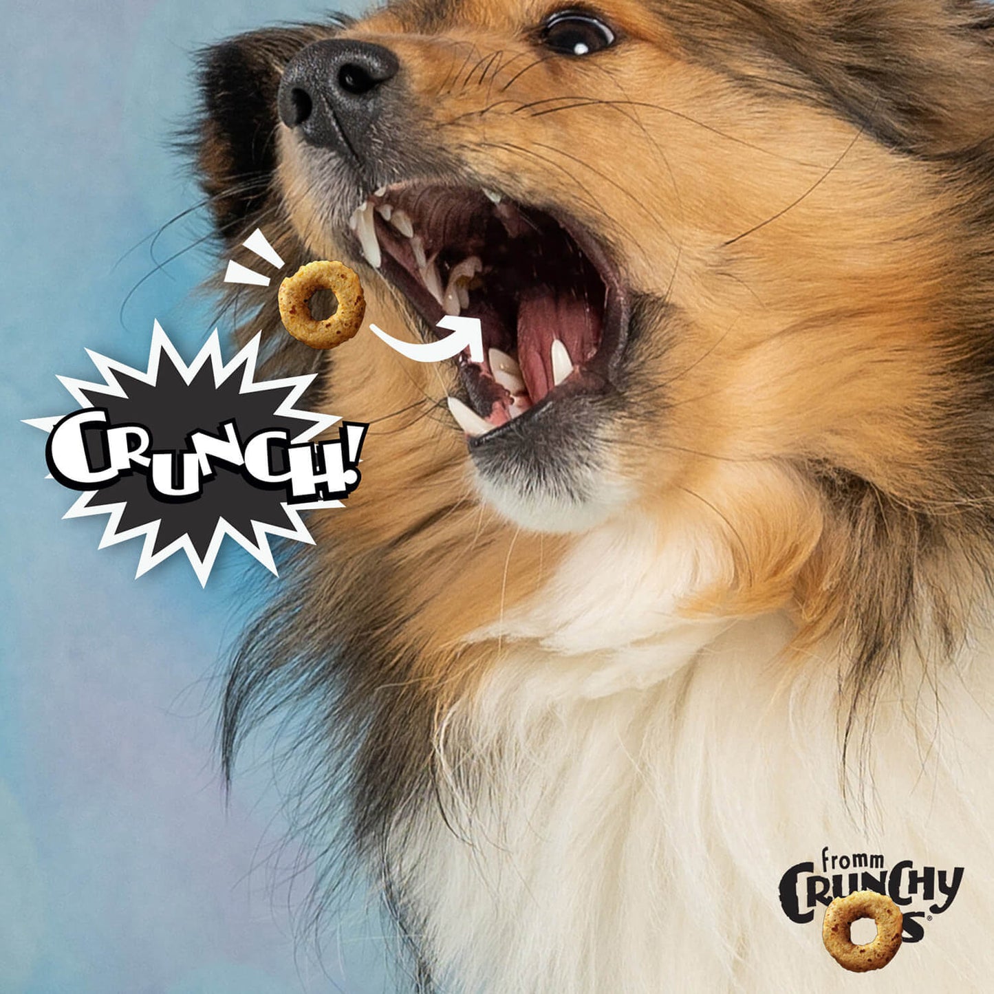 Fromm Crunchy Os - Bacon Blasters Flavor image 4