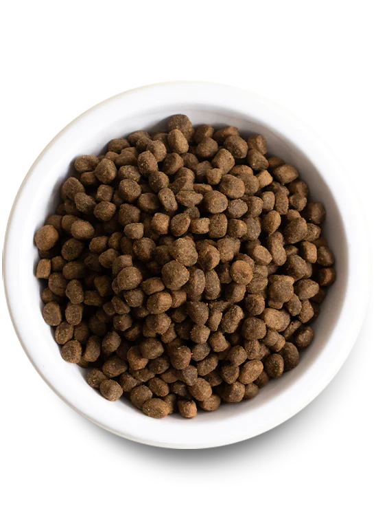 Open Farm Grass-Fed Beef Grain-Free Dry Dog Food image 3