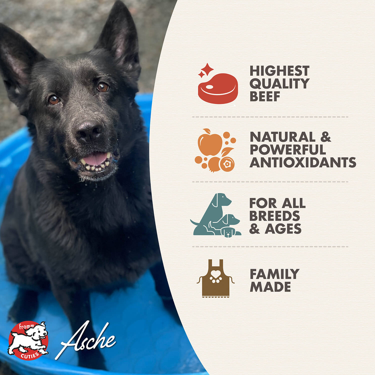 Fromm Diner Favorites Bud's Beef & Broccoli Stew image 1