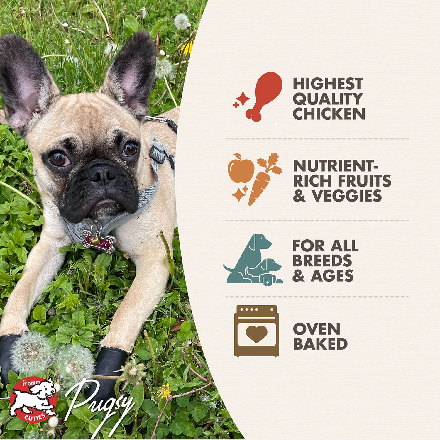 Fromm Four Star Chicken with Peas & Carrots Dog Treats image 4