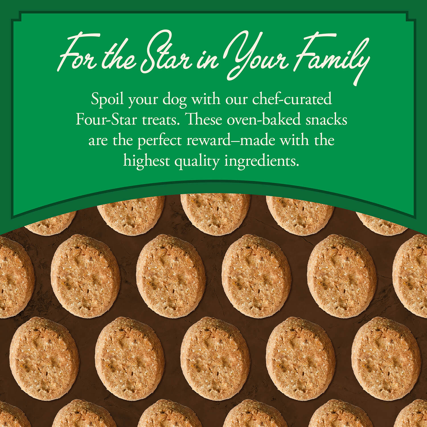 Fromm Four Star Lamb with Cranberry Recipe Dog Treats image 3