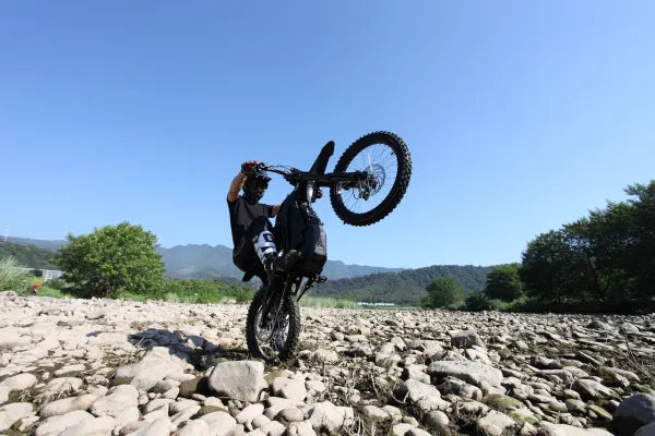 E-Ride PRO-SS 2.0 image 3