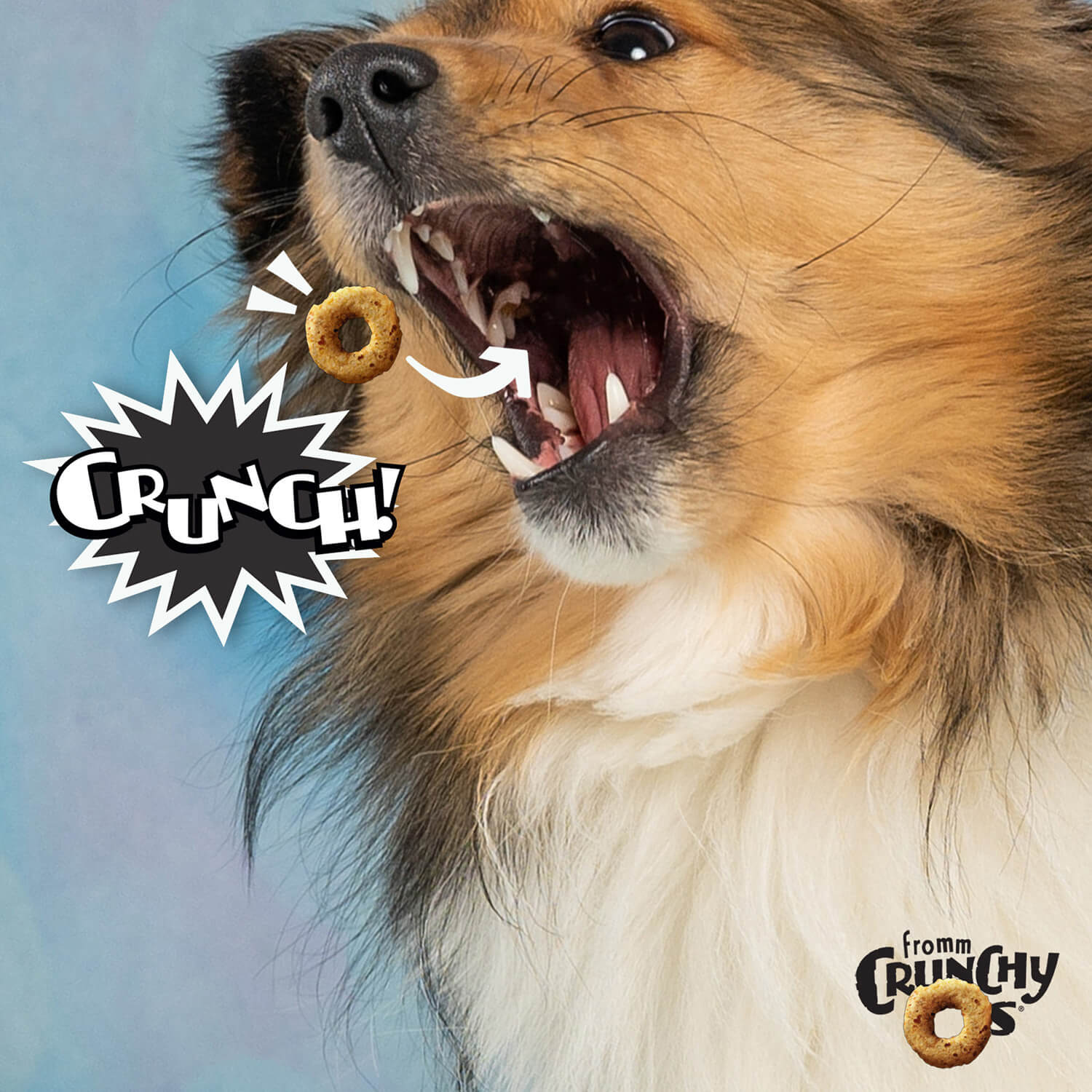 Fromm Crunchy Os - Bacon Blasters Flavor image 4