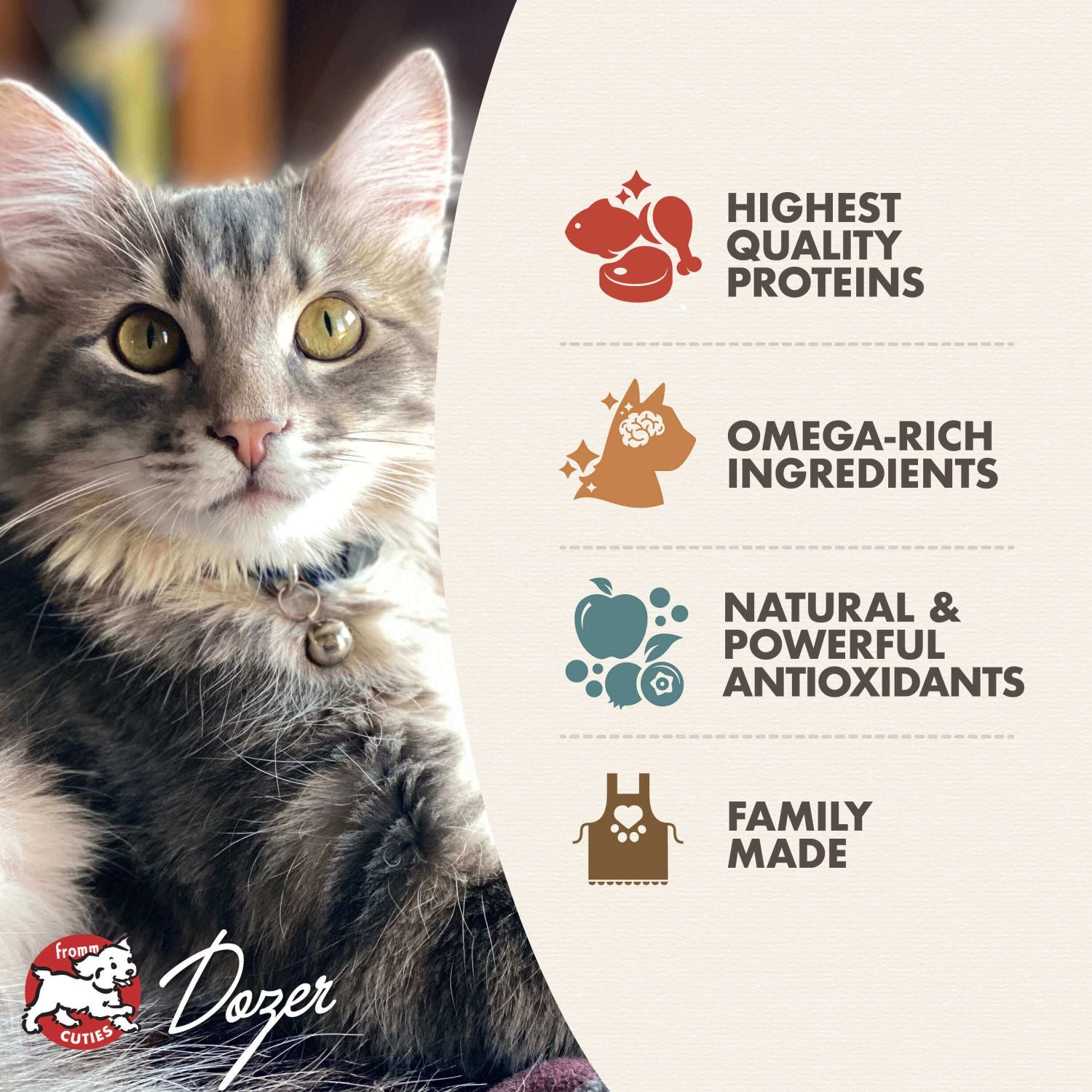 Fromm Gold Kitten image 2
